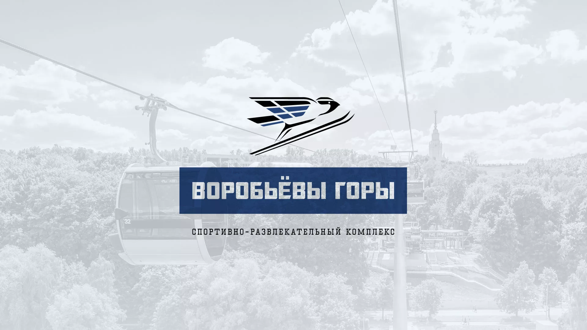 Разработка сайта в Кизляре для спортивно-развлекательного комплекса «Воробьёвы горы»